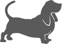 Bassett Productions Logo
